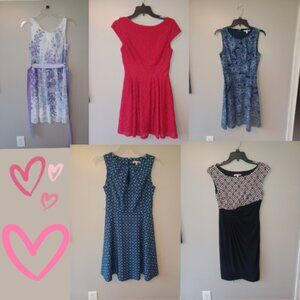 Dress Barn Dresses Size 4 Lot of 5